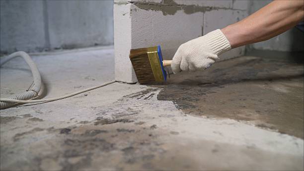 SJ Waterproofing Pros Crawl Space Encapsulation coverage map for Chippewa Lake, MI and surrounding area